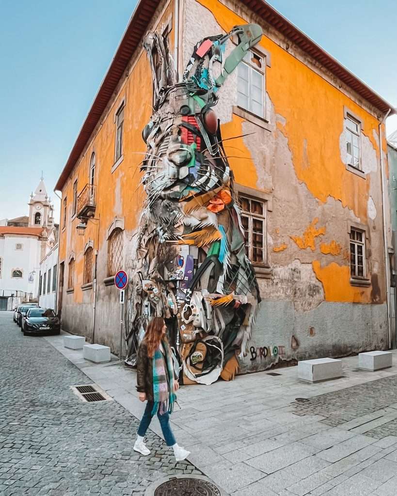 Half Rabbit, 3 días en Oporto
