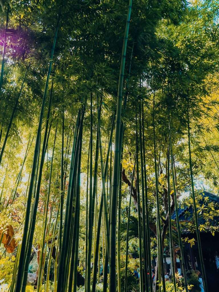 Jardines de Yuyuan