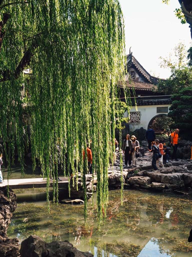 Jardines de Yuyuan de Shanghái, 21 días en China
