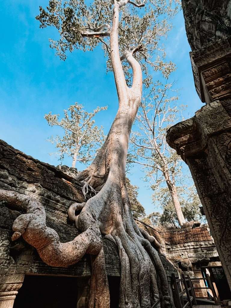 Templo de Ta Prohm, Templos de Angkor en moto