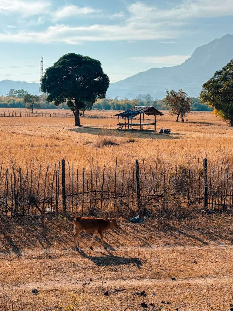 Vistas en Thakhek Loop, 14 días en Laos