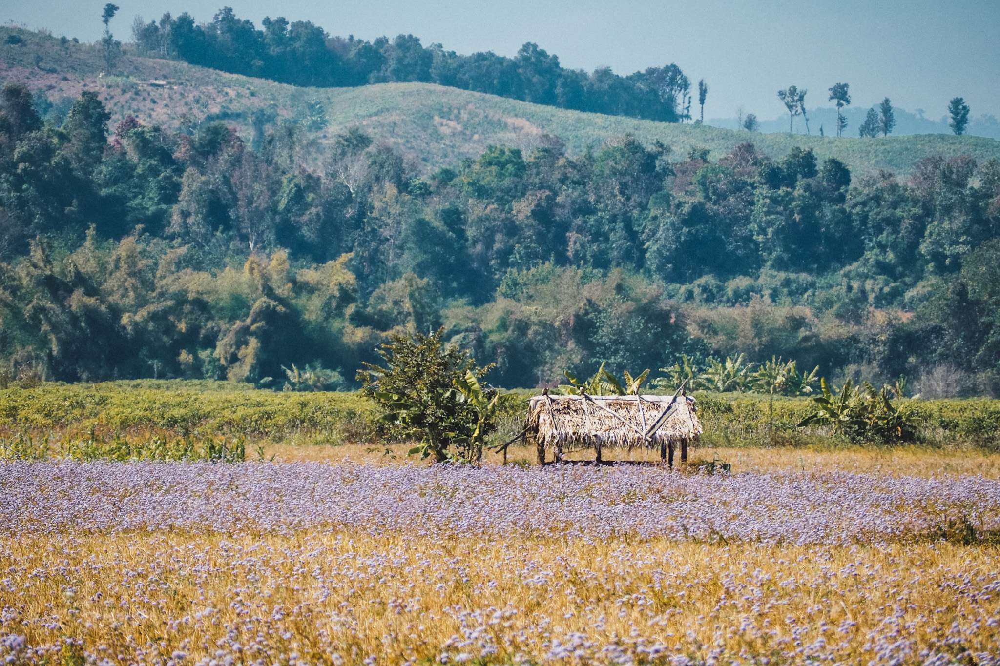 Ruta de 14 días en Laos