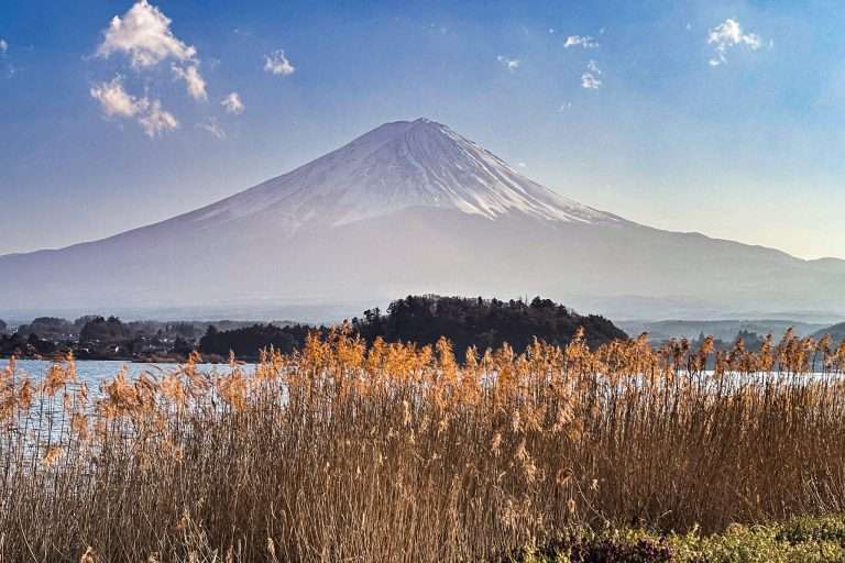 Vistas Fuji