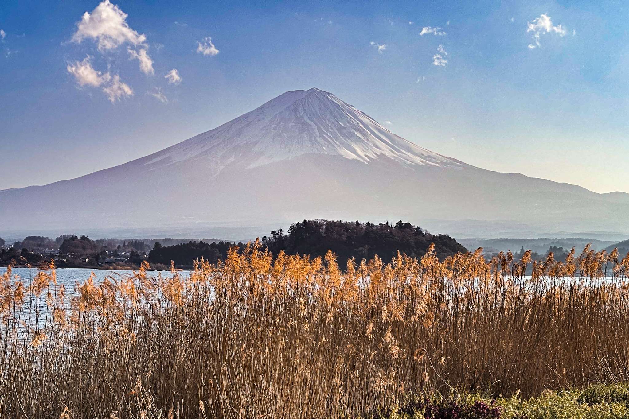 Vistas Fuji