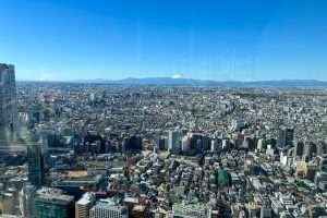 Vistas de Tokio
