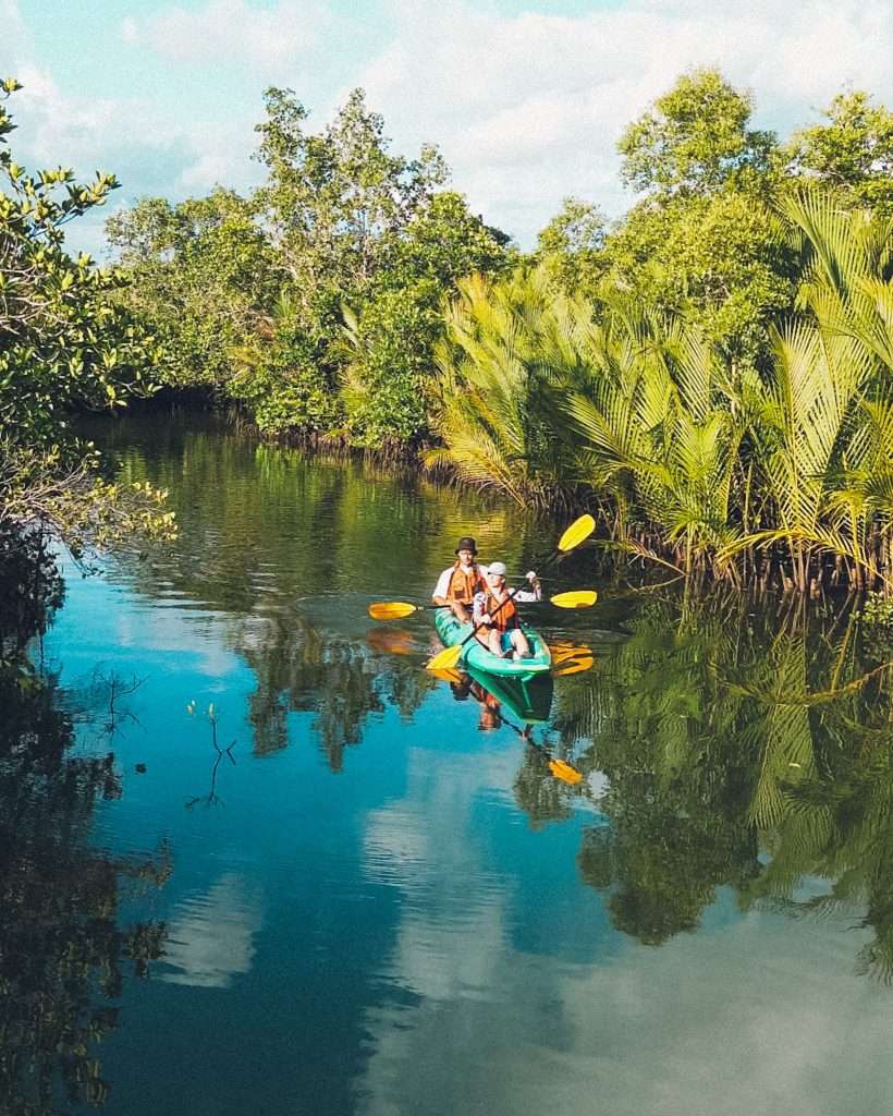 Kayak por manglares, 1 mes en Filipinas / 1 month in the Philippines