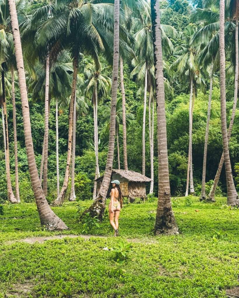Coconut Beach