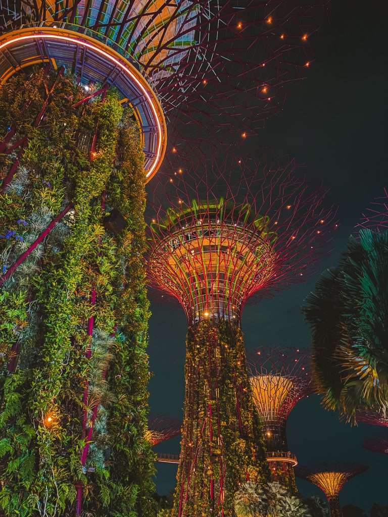 Supertrees por la noche