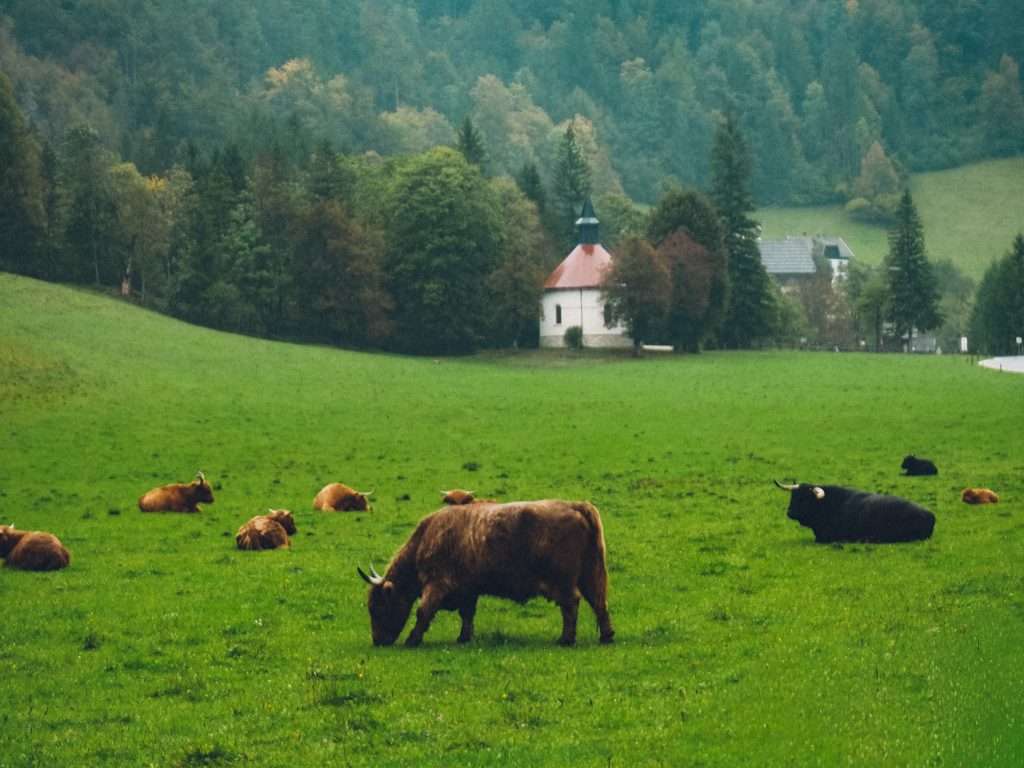 Logarska Dolina, 7 días en Eslovenia