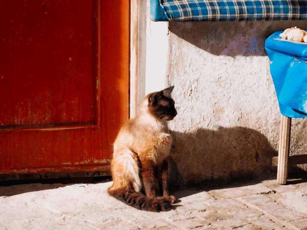 Marruecos en 15 días
