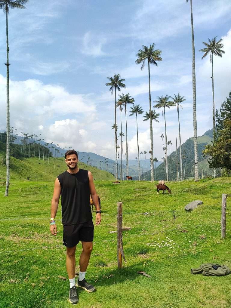 Valle de Cocora, Eje Cafetero