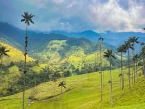 Valle de Cocora, Eje Cafetero