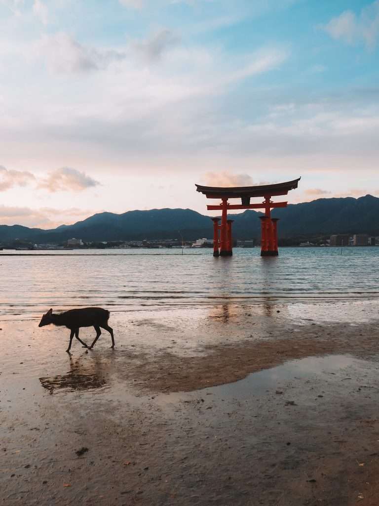 Torii de Miyajima
