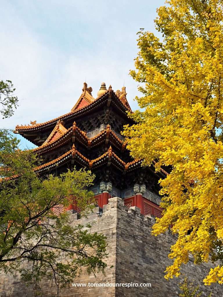 Torre de tejados superpuestos junto a un árbol amarillo en otoño