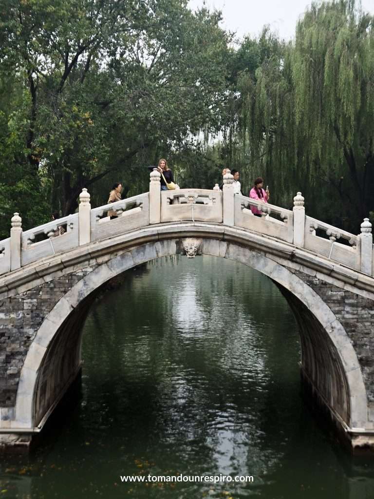 Puente de piedra blanca en arco sobre el agua entre sauces