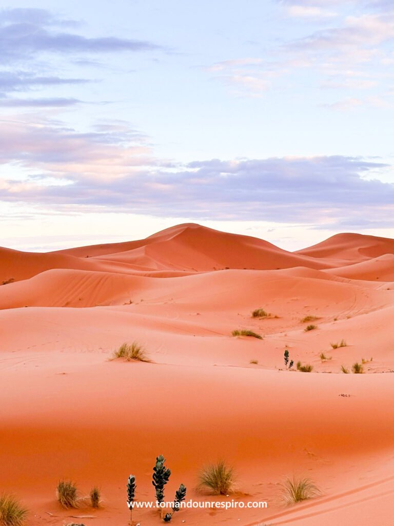 Dunas rosadas al atardecer en Merzouga