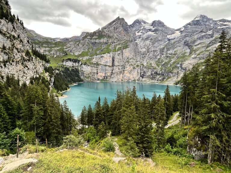 Lago Oeschinensee turquesa visto desde el sendero entre abetos